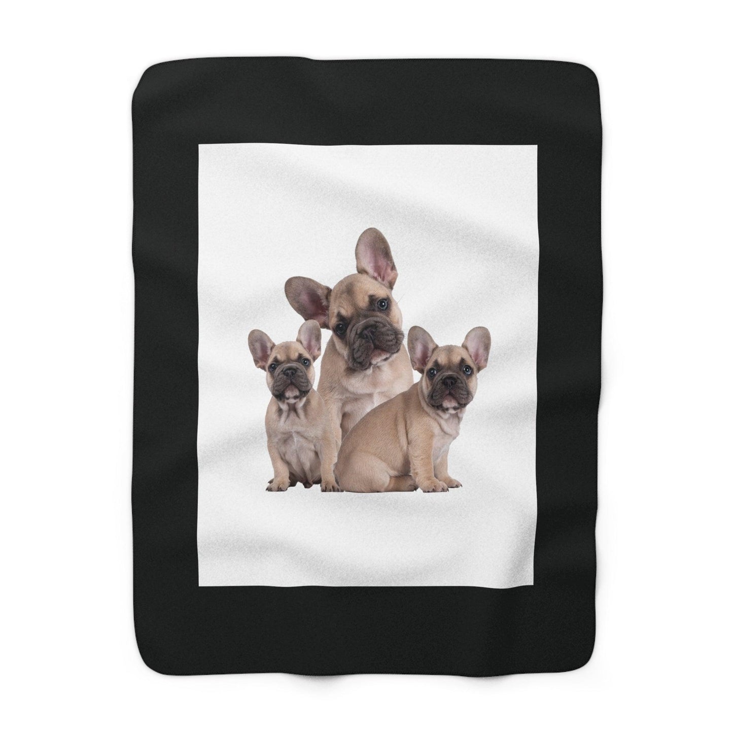 French bulldogs blanket on floor