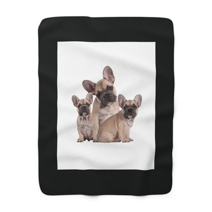 French bulldogs blanket on floor